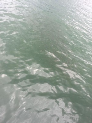 hideup 永野総一朗 ブログ写真 2016/09/23