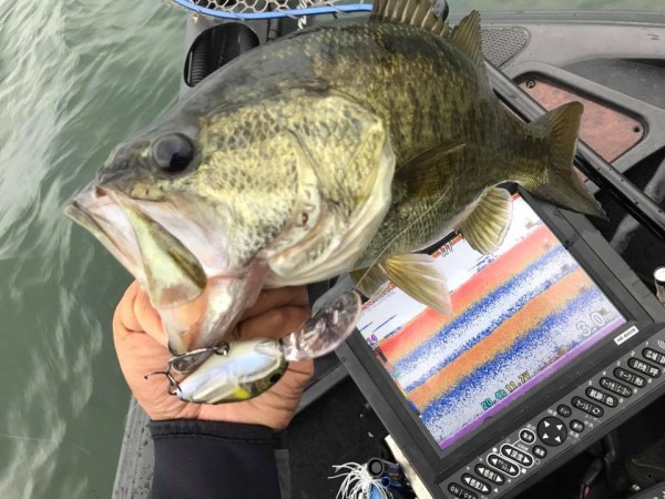 hideup 永野総一朗 ブログ写真 2017/10/18