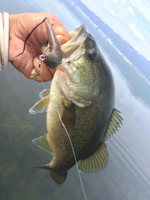 hideup 永野総一朗 ブログ写真 2015/09/21