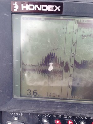 hideup 永野総一朗 ブログ写真 2015/04/21