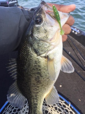 hideup 永野総一朗 ブログ写真 2017/03/28