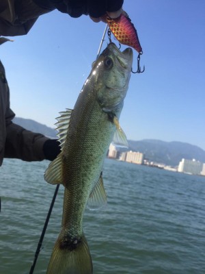 hideup 永野総一朗 ブログ写真 2016/11/05