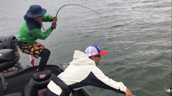 hideup 永野総一朗 ブログ写真 2017/06/08