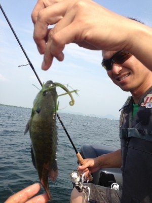 hideup 豌ｸ驥守ｷ丈ｸ譛� 繝悶Ο繧ｰ蜀咏悄 2013/08/10