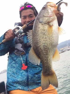 hideup 永野総一朗 ブログ写真 2017/03/06