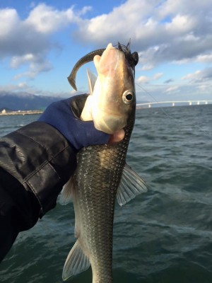 hideup 永野総一朗 ブログ写真 2015/12/28