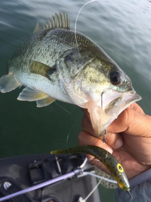 hideup 永野総一朗 ブログ写真 2016/10/21