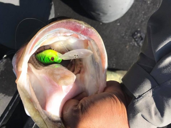 hideup 永野総一朗 ブログ写真 2017/11/01