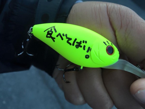 hideup 永野総一朗 ブログ写真 2016/03/25