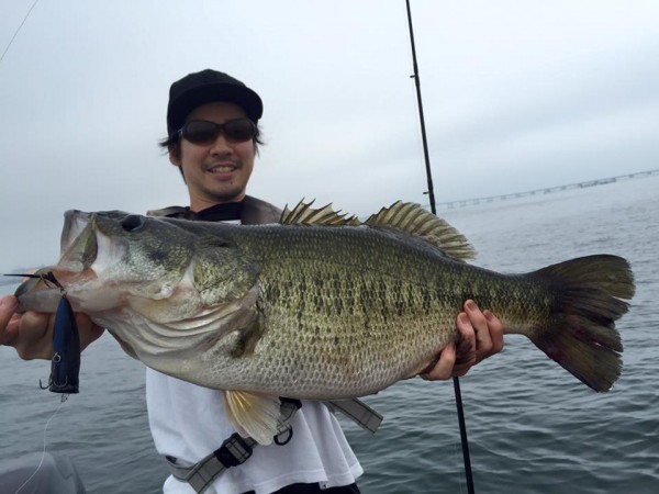hideup 永野総一朗 ブログ写真 2016/06/20