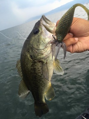 hideup 永野総一朗 ブログ写真 2016/07/15