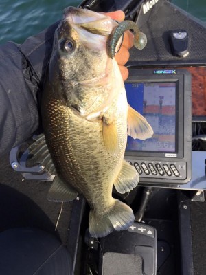 hideup 永野総一朗 ブログ写真 2016/03/18