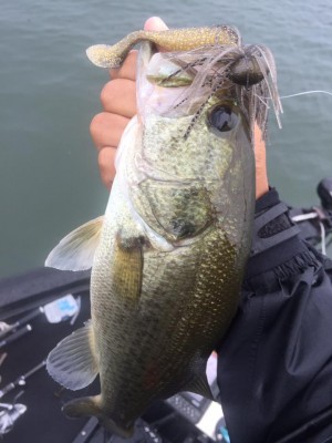 hideup 永野総一朗 ブログ写真 2016/10/03