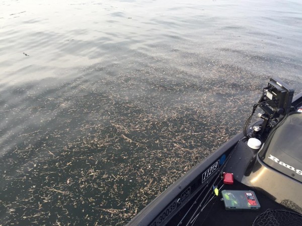 hideup 永野総一朗 ブログ写真 2016/04/11