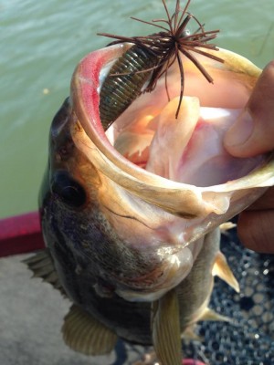 hideup 永野総一朗 ブログ写真 2015/03/20