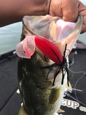 hideup 永野総一朗 ブログ写真 2017/09/10