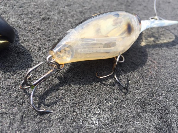 hideup 永野総一朗 ブログ写真 2017/03/14