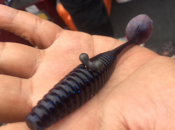 hideup 豌ｸ驥守ｷ丈ｸ譛� 繝悶Ο繧ｰ蜀咏悄 2015/09/09