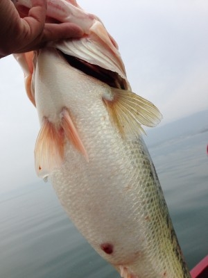 hideup 永野総一朗 ブログ写真 2013/04/02