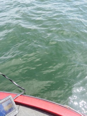 hideup 永野総一朗 ブログ写真 2015/07/18