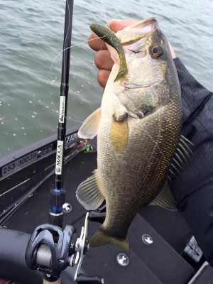 hideup 永野総一朗 ブログ写真 2016/03/10