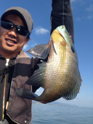 hideup 永野総一朗 ブログ写真 2014/11/11