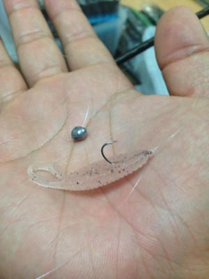 hideup 永野総一朗 ブログ写真 2014/10/28