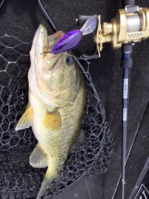 hideup 永野総一朗 ブログ写真 2016/04/07