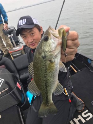 hideup 永野総一朗 ブログ写真 2017/06/07