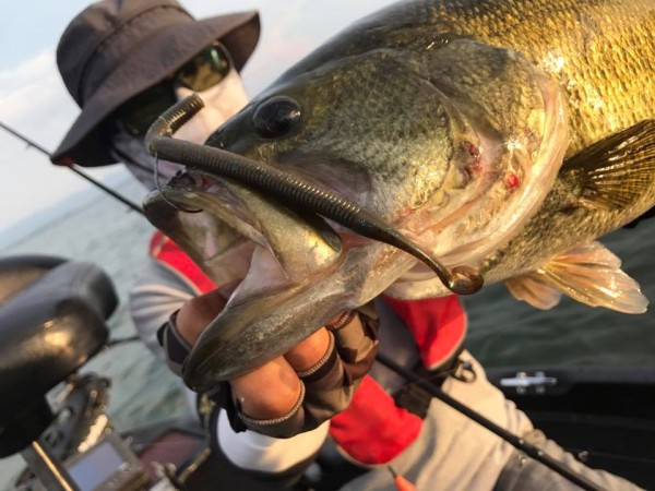 hideup 永野総一朗 ブログ写真 2017/08/12