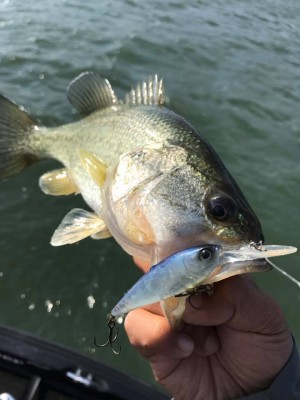 hideup 永野総一朗 ブログ写真 2017/11/05