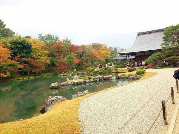 hideup 豌ｸ驥守ｷ丈ｸ譛� 繝悶Ο繧ｰ蜀咏悄 2013/11/14