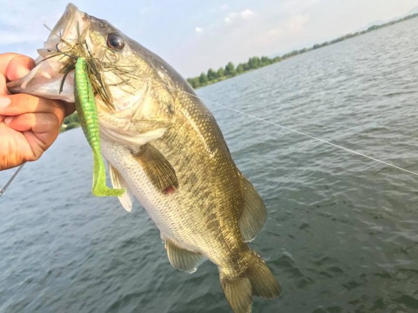 hideup 永野総一朗 ブログ写真 2017/08/12