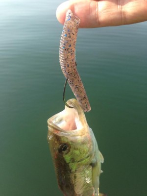 hideup 永野総一朗 ブログ写真 2014/09/17