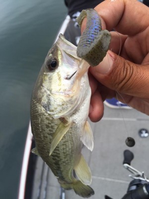 hideup 永野総一朗 ブログ写真 2015/10/22