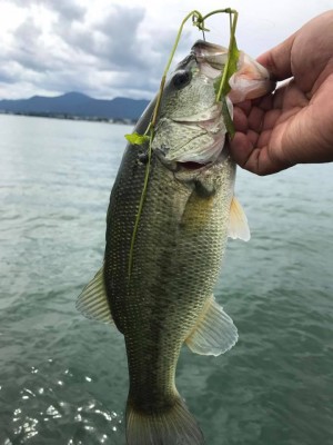 hideup 永野総一朗 ブログ写真 2017/08/14