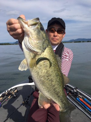 hideup 豌ｸ驥守ｷ丈ｸ譛� 繝悶Ο繧ｰ蜀咏悄 2017/05/17