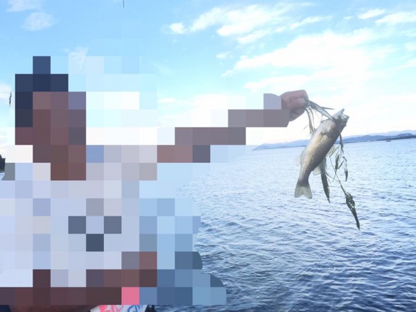 hideup 永野総一朗 ブログ写真 2016/10/18