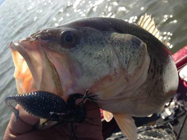 hideup 豌ｸ驥守ｷ丈ｸ譛� 繝悶Ο繧ｰ蜀咏悄 2013/04/08