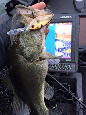 hideup 永野総一朗 ブログ写真 2016/03/13