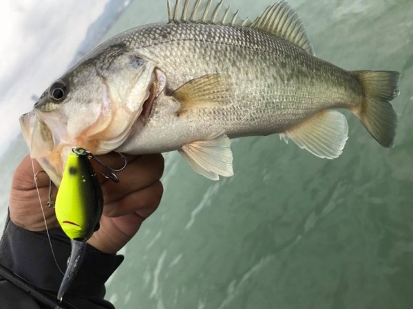 hideup 永野総一朗 ブログ写真 2017/10/29