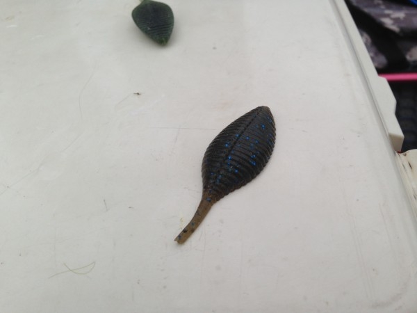 hideup 永野総一朗 ブログ写真 2014/06/06