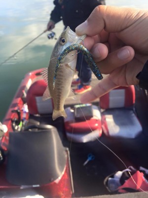 hideup 永野総一朗 ブログ写真 2015/12/12