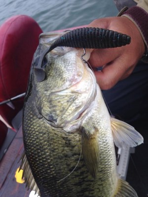 hideup 永野総一朗 ブログ写真 2015/05/19