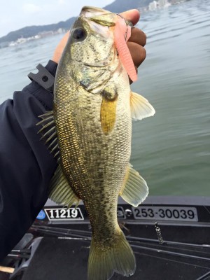 hideup 永野総一朗 ブログ写真 2016/04/18