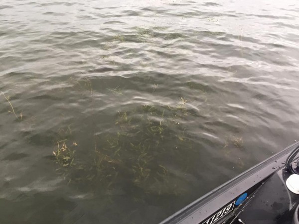 hideup 永野総一朗 ブログ写真 2016/09/20