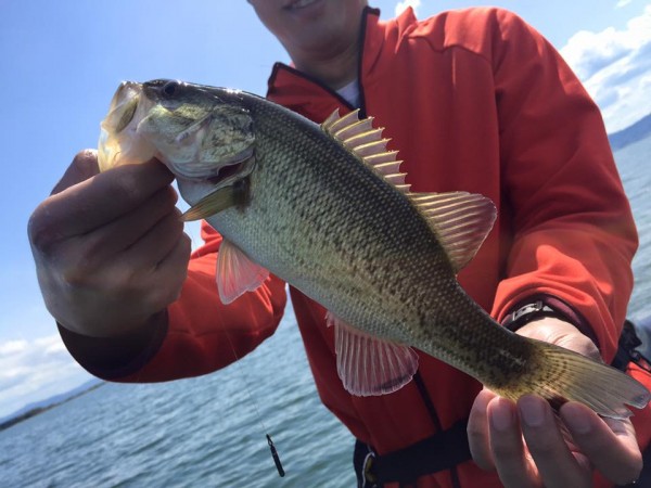 hideup 永野総一朗 ブログ写真 2016/04/15