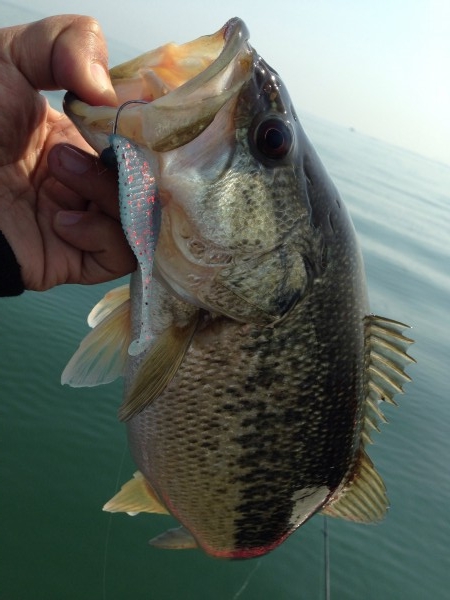 hideup 永野総一朗 ブログ写真 2014/04/11