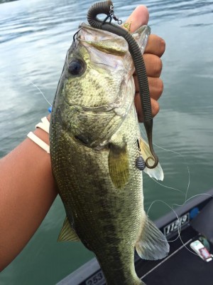 hideup 永野総一朗 ブログ写真 2016/08/17