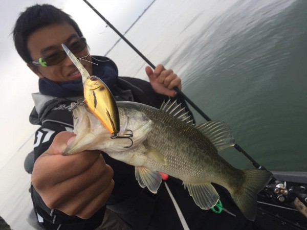 hideup 永野総一朗 ブログ写真 2016/11/19